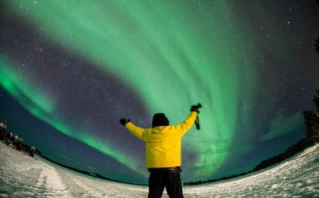 Are There Private Aurora Tours in Levi, Lapland?
