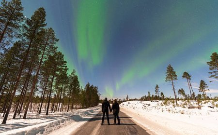 Are There Private Aurora Tours in Levi, Lapland?