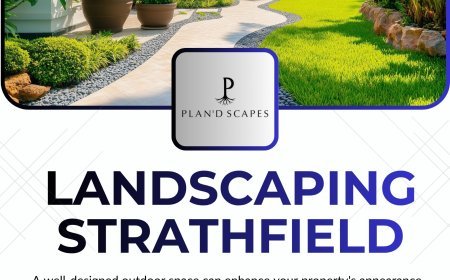landscaping strathfield