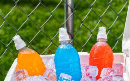 GCC Sports Drinks: Hydration, Fitness Culture, and Sugar-Free Innovation Shape Consumer Choices