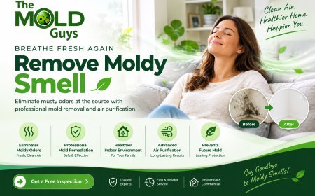 Remove Moldy Smell From Closets Without Damaging Stored Clothing