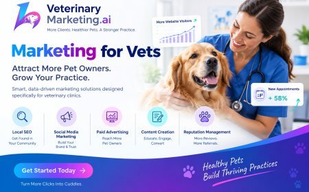 Why Veterinary Marketing Reports Should Track More Than Rankings and Traffic