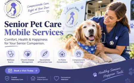 Senior Pet Care Mobile Services and Creating a Comfortable Home Care Routine