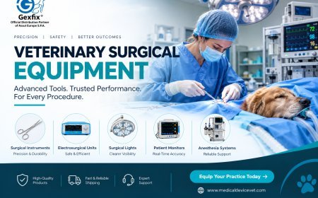 Veterinary Surgical Equipment Sterilization and Instrument Reprocessing Considerations