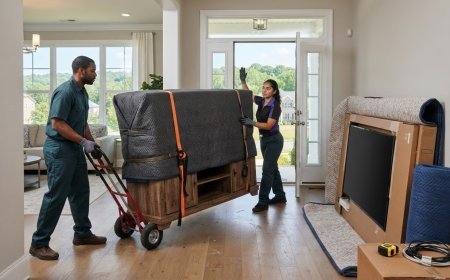 Couch Moving Service Questions to Ask Before You Book