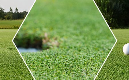 Golf Turf Manufacturer for Quality Artificial Golf Surfaces