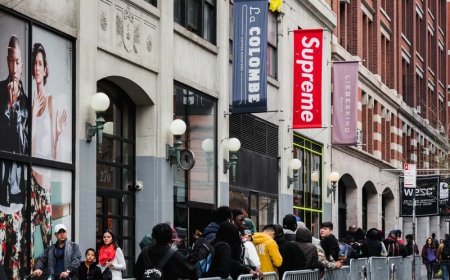 Supreme and the Psychology of Color Coordination in Streetwear