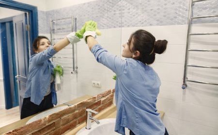 Maintaining a Healthy Home Through Proper Cleaning and Water Hygiene
