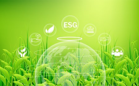 The Importance of ESG Reporting for Modern Businesses