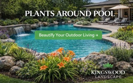 Kingswood Landscape: Choosing a Unilock Authorized Contractor in Texas for Lasting Outdoor Spaces