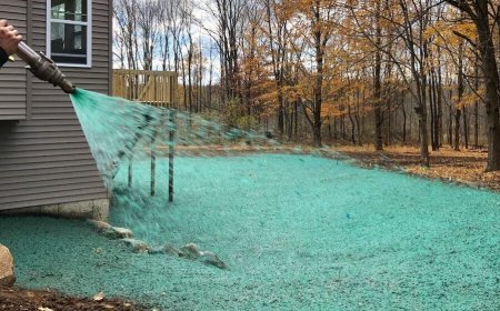 A Beginner's Guide to Hydroseeding in North Texas