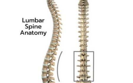 PTBY Art: Orthopedic Physical Therapy Ashburn for Better Mobility and Recovery