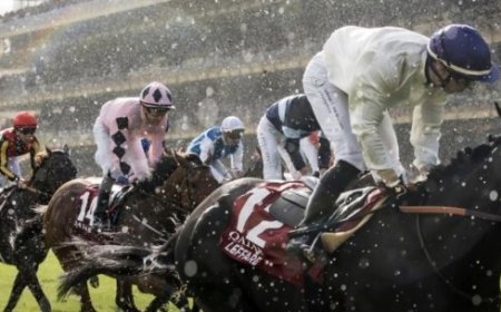 Hyderabad Horse Race Card Explained: A Complete Guide for Race Day Enthusiasts