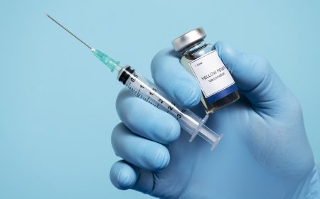 Best Pharma Company in Panchkula for Trusted Pharmaceutical Services