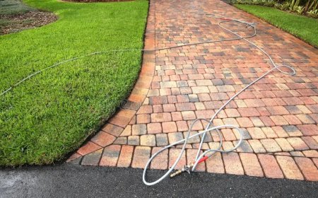 Paver Sealing Tampa FL: Benefits, Process, and Maintenance Tips