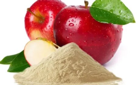 Pectin Powder Manufacturing Plant Cost 2026: Technological Requirements, Raw Material Expenses & Financial Planning