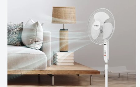 Best Pedestal Fan Under ₹2,500: Airflow and Durability Compared