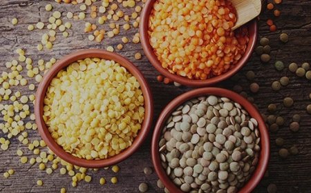 Lentil Processing Plant Project Report 2026: Investment Opportunities, Machinery Requirements, and Full Cost Analysis
