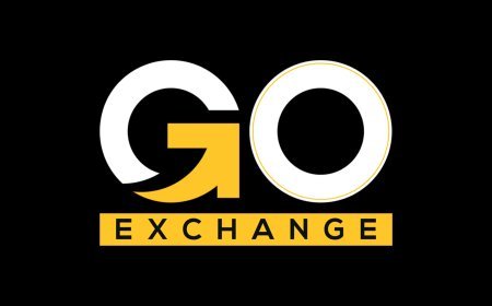 Goexch: Exploring Digital Sports Engagement and Online Platform Safety
