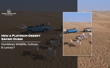 How a Platinum Desert Safari Dubai Combines Wildlife, Culture, and Luxury?