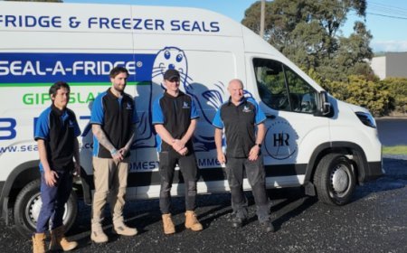 Fridge Seal Replacement: Signs Your Fridge Needs Resealing