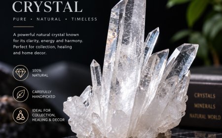 Beyond Amethyst and Rose Quartz: Discover a Crystals Wholesaler in Singapore with More to Explore