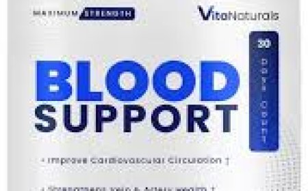 Is Vita Naturals Blood Support Supplement safe?