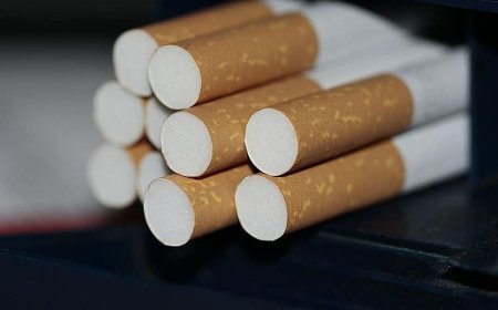 Cost of Setting Up a Cigarette Manufacturing Business in 2026: ROI Insights & Demand Analysis
