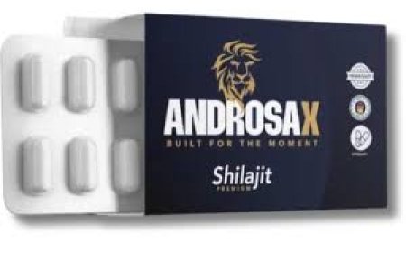 What are the ingredients in Androsax Shilajit?