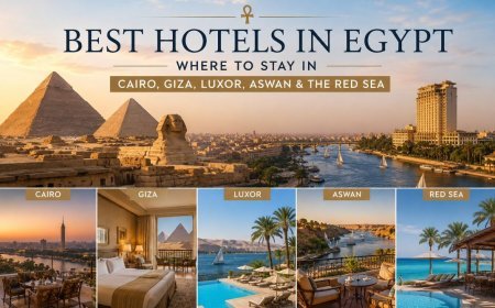 Best Hotels in Egypt: Where to Stay in Cairo, Giza, Luxor, Aswan & the Red Sea