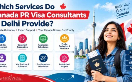 Which Services Do Canada PR Visa Consultants in Delhi Provide