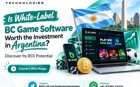 Is White-Label BC Game Software Worth the Investment in Argentina? Discover Its ROI Potential