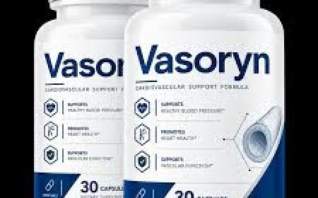 What ingredients are in Vasoryn Cardiovascular Support Formula?