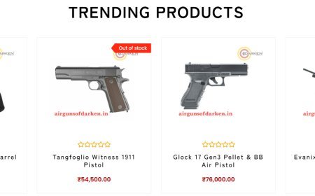 A Complete Guide to Choosing CO2-Powered Air Pistols