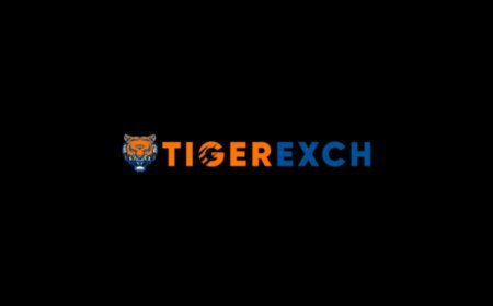 Tiger365: How Small Rule Changes Can Transform the World of Sports