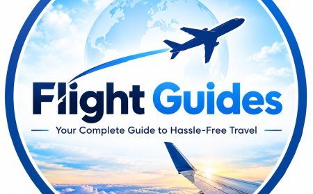 Flight counters