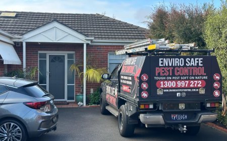 Beyond the Garden Fence: Smart Ways to Manage Possums and Pests Around Melbourne Properties