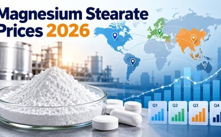 Magnesium Stearate Price Report: Regional Trends and Quarterly Insights