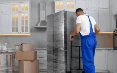 Furniture Moving Companies NZ: Find Reliable Movers with 1Van