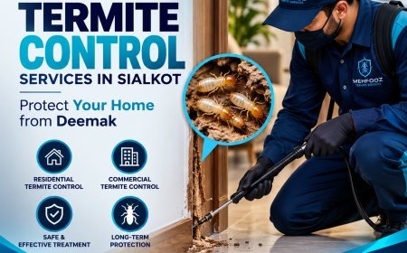 Pest Control Services in Peshawar: Protect Your Home and Business from Pests