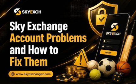 Sky Exchange Payment Pending Issues and Possible Reasons for Delays