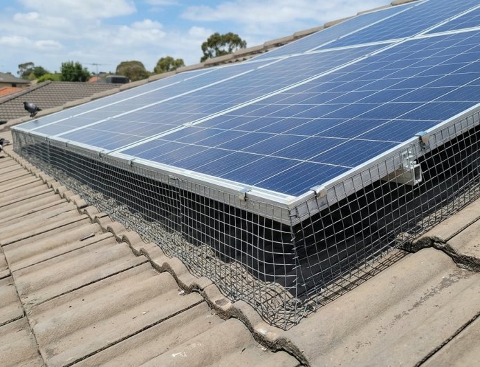 Stop Nesting Birds From Affecting Solar Panel Performance