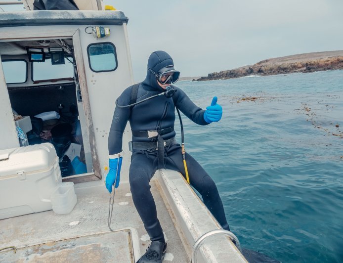The Complete Scuba Diving Wetsuit Guide: Choose the Right Wetsuit for Every Dive