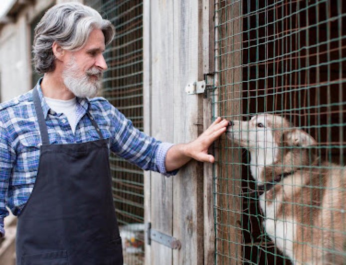 Choosing a Veterinarian in Brooklyn for Your Pet