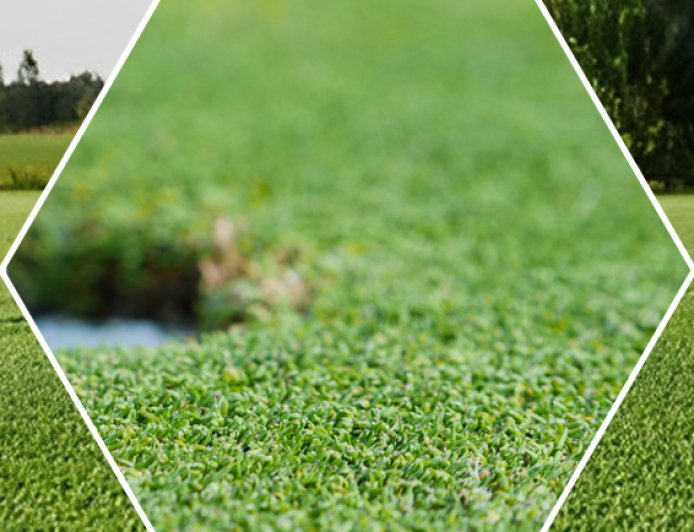 Golf Turf Manufacturer for Quality Artificial Golf Surfaces