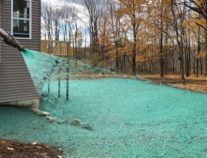 A Beginner's Guide to Hydroseeding in North Texas