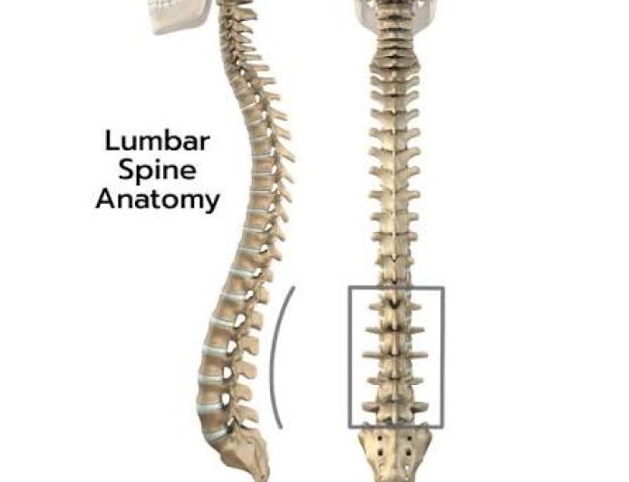 PTBY Art: Orthopedic Physical Therapy Ashburn for Better Mobility and Recovery