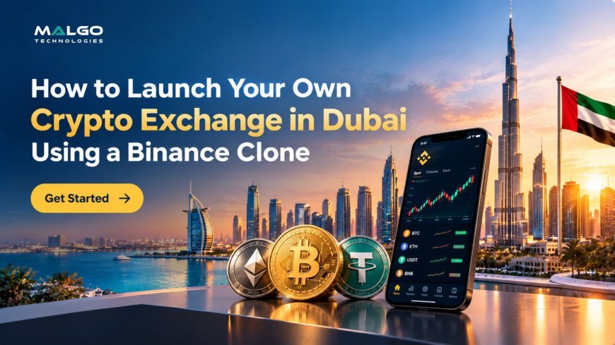 How to Launch Your Own Crypto Exchange in Dubai Using a Binance Clone