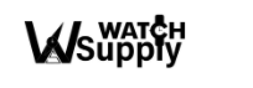 A Complete Guide to Wholesale Watches for Retailers and Businesses