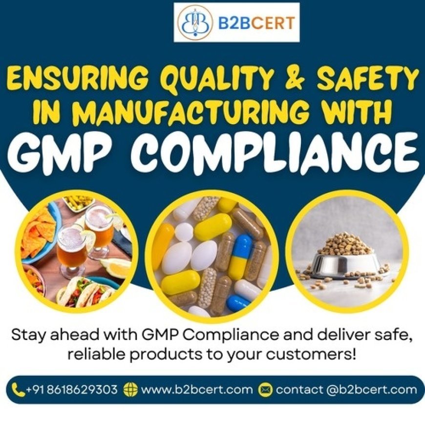 GMP Certification in Egypt